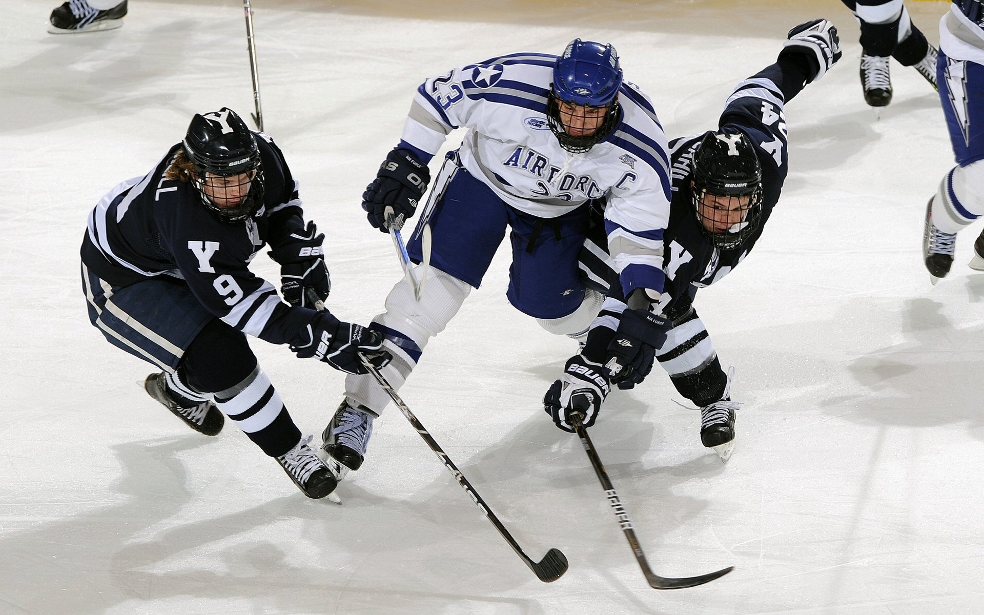 欧战基因觉醒！武切维奇意甲式统治力碾压禁区，公牛主场掀翻雄鹿
